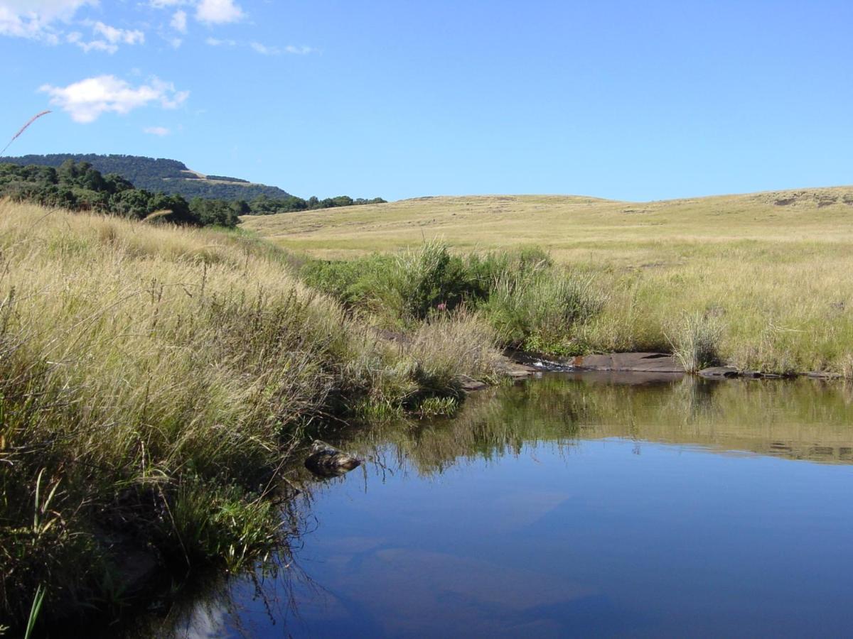 Yarrow Rockwood Karkloof Forest Lodge & Mountain Cabin מראה חיצוני תמונה
