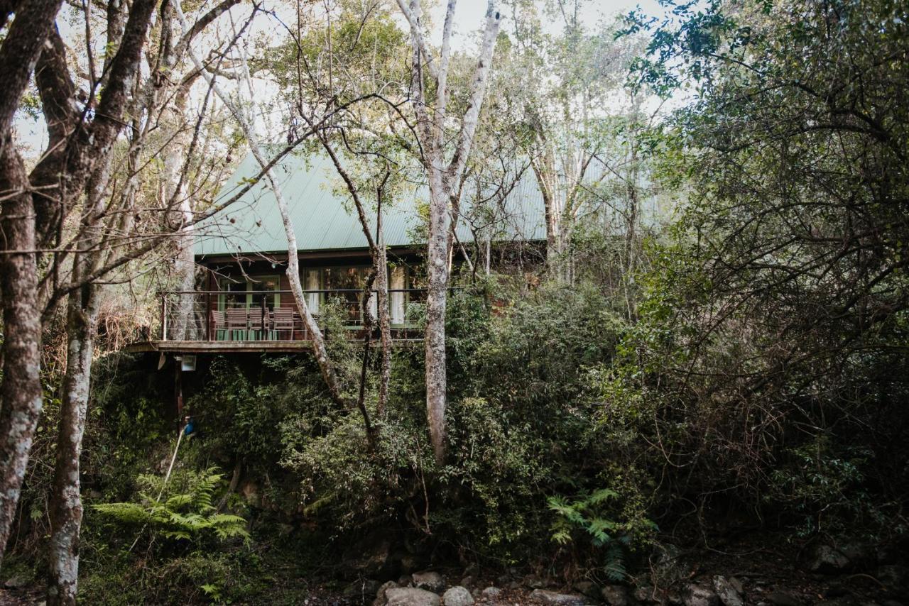 Yarrow Rockwood Karkloof Forest Lodge & Mountain Cabin מראה חיצוני תמונה