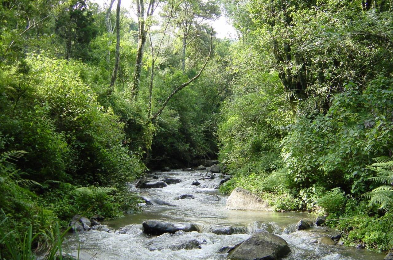 Yarrow Rockwood Karkloof Forest Lodge & Mountain Cabin מראה חיצוני תמונה
