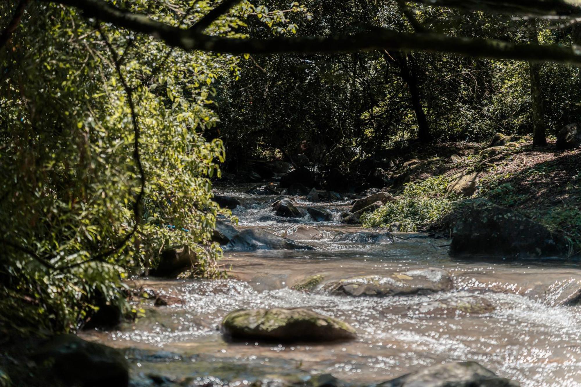 Yarrow Rockwood Karkloof Forest Lodge & Mountain Cabin מראה חיצוני תמונה